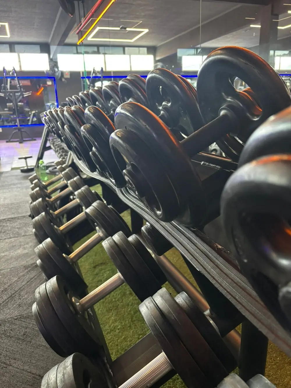 Halteres na área de musculação